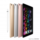 Apple iPad Pro 平板电脑 10.5 英寸(256G WLAN版)