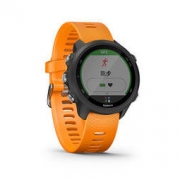 GARMIN 佳明 Forerunner245 血氧游泳跑步健身