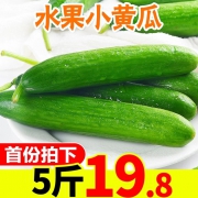 福瑞达 新鲜水果小黄瓜 5斤整箱