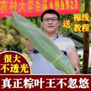 恬必优 粽子叶 100张 5.8元（需用券）