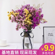 买1送1 勿忘我干花花束