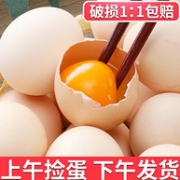 膳良阁 农家散养新鲜土鸡蛋 20枚x2件
