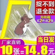 驰天 强力粘鼠板 10张装