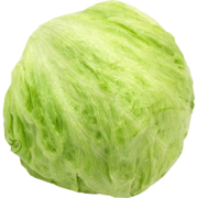 脆嫩爽口 ！绿行者 球生菜 西生菜 5斤 ￥14.9