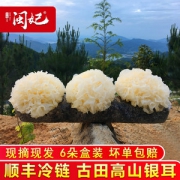 闽妃 古田新鲜银耳 6朵盒装