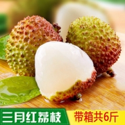 田六福 三月红新鲜荔枝 净重4斤