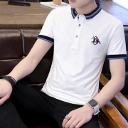 t恤男士短袖2019新款夏季潮流男装纯棉上衣服长袖polo衫春装体桖