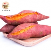 【南充馆】香薯 蜜薯 地瓜  带箱5kg