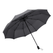 漫欧全自动防紫外线黑胶晴雨两用伞 券后￥9.9
