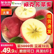 新疆阿克苏冰糖心苹果带箱10斤