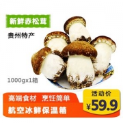 贵州紫云县 新鲜赤松茸 2斤