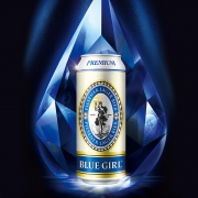 BLUEGIRL蓝妹新品 德国工艺进口啤酒 500ml*9听 整箱装 59元包邮（需用券）