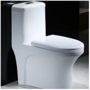 HOROW 希箭 C265 连体式静音节水防臭坐便器