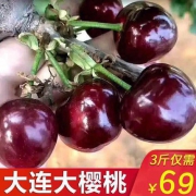 大连大樱桃现摘现发整箱3斤（中果） 69.9元包邮