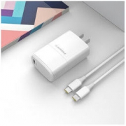 PISEN 品胜 GaN氮化镓充电器 65W Type-C数据线 套装