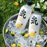 元気森林苏打气泡水480*12瓶 券后￥60.9