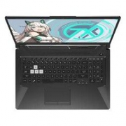 ASUS 华硕 天选PLUS 17.3英寸游戏本（R7-4800H、8GB、512GB、GTX1660Ti、120Hz）