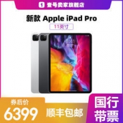 Apple 苹果 2020款 iPad Pro 11英寸平板电脑 WLAN版 256GB