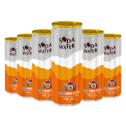 88VIP、有券上：北冰洋 百香果味苏打汽水 330ml*6听 碳酸饮料饮品 *4件 79.82元包邮（双重优惠）