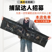 优璇福 强力魔毯贴灭鼠神器 5.8元包邮