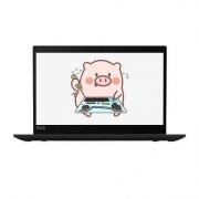 联想 ThinkPad X395 笔记本电脑 (Ryzen7 RPO 3700U、512GB SSD、8GB)