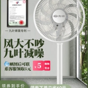 先锋 9叶柔风电风扇