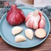 第二件9.9元 第二件9.9 现挖新鲜紫皮大蒜5斤 券后￥14.9