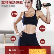 梵歌纳 筋膜枪 肌肉按摩器 附带3按摩头