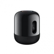 百亿补贴： HUAWEI 华为 Sound X 智能音箱