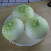 云南洋葱 新鲜蔬菜 10斤