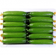 福瑞达 新鲜水果小黄瓜5斤 券后￥16.8