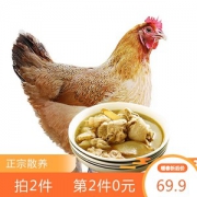 正宗老农家散养土鸡 800g*2只 新鲜现杀