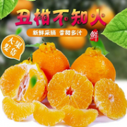 坏果包赔 现摘现发：四川 不知火丑橘 带箱6斤