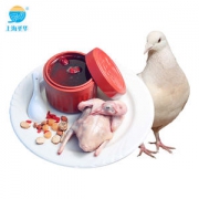 08年奥运供应商 圣华 农家散养乳鸽 275g*3只