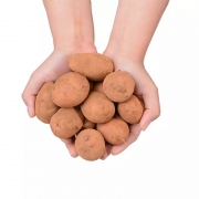 云南 小土豆 新鲜蔬菜 10斤