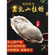 优全生鲜 乳山生蚝 2.5kg 单只70g-90g