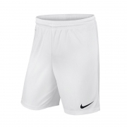 NIKE 耐克 男士运动短裤 725887-100