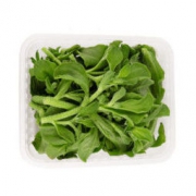 NANGUOXIANSHENG 新鲜冰草菜水晶菜 1.5斤 *2件