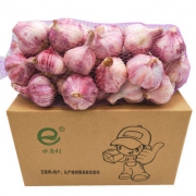 紫皮大蒜头 3斤