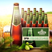 TSINGTAO 青岛啤酒 IPA 印度淡色艾尔 精酿啤酒 330ml *12瓶 89元包邮（双重优惠）