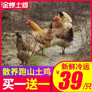 缘琳山 大别山散养 金蝉走地鸡 950g*2只
