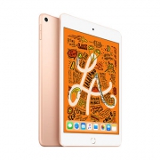 Apple iPad mini 2019新款平板7.9英寸