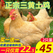 线下只够买1只，1.7斤x2只：黄老大 现杀三黄鸡