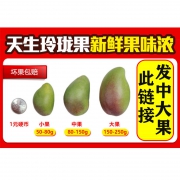 迷你哈尼 越南玉芒新鲜水果当季热带水果绿皮甜心芒果批发净果9斤 34.8元