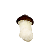 紫云红芯红薯 新鲜姬松茸1000g 券后25.9元包邮