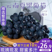 云南夏黑葡萄黑提 2斤