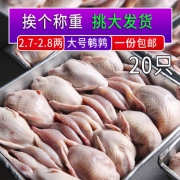 正规检验检测、2.7-2.8两/只：20只，农倍鲜 现杀 大号母鹌鹑