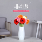 卉之依然 20枝 云南昆明非洲菊鲜花