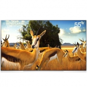 LG E9 OLED55E9PCA 55英寸 4K OLED电视 14299元包邮（需用券）