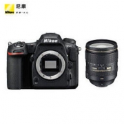 尼康（Nikon）D500 单反相机 数码相机 （AF-S 尼克尔 24-120mm f/4G ED VR 单反镜头）